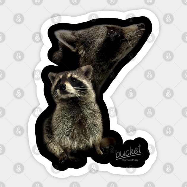 Get My Good Side Sticker by bucketthetrashpanda